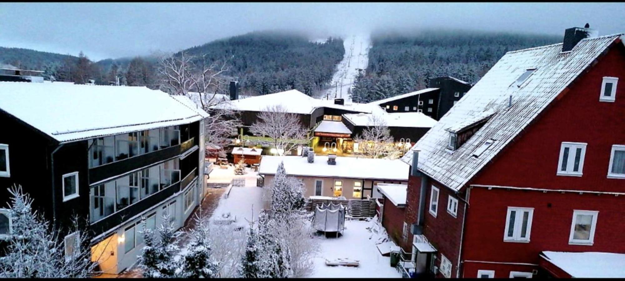 Chill Out Apartment Bergblick ゴスラー エクステリア 写真